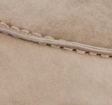 Desert Meridian Mule